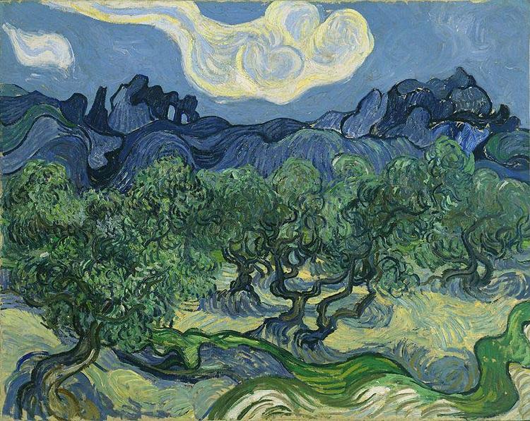 Vincent Van Gogh The Olive Trees Spain oil painting art